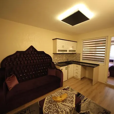 Bakirkoy House
